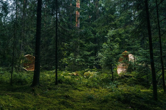 The Story Behind Every Northern European Sauna