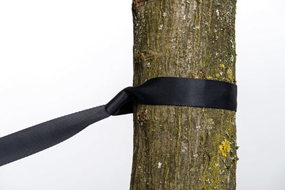 tree hugger fixing product exterior view