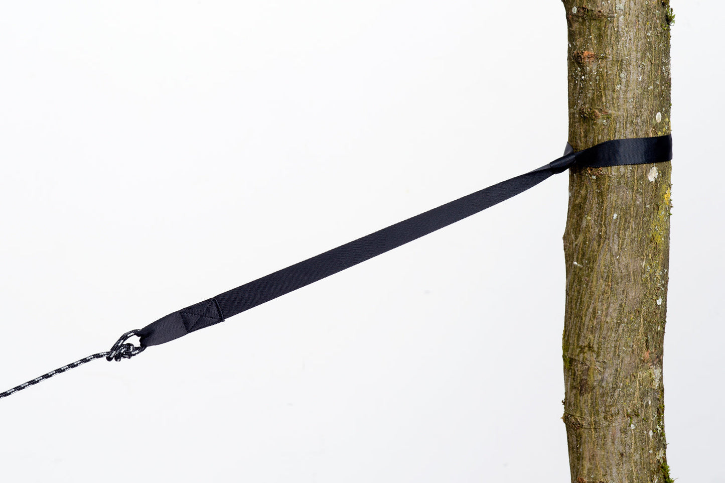 tree hugger fixing product exterior view — view 2